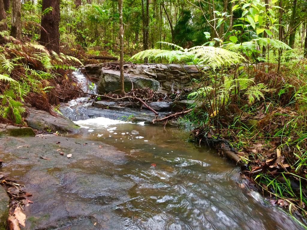 Noosa Hinterland Retreat Daire Tinbeerwah Dış mekan fotoğraf